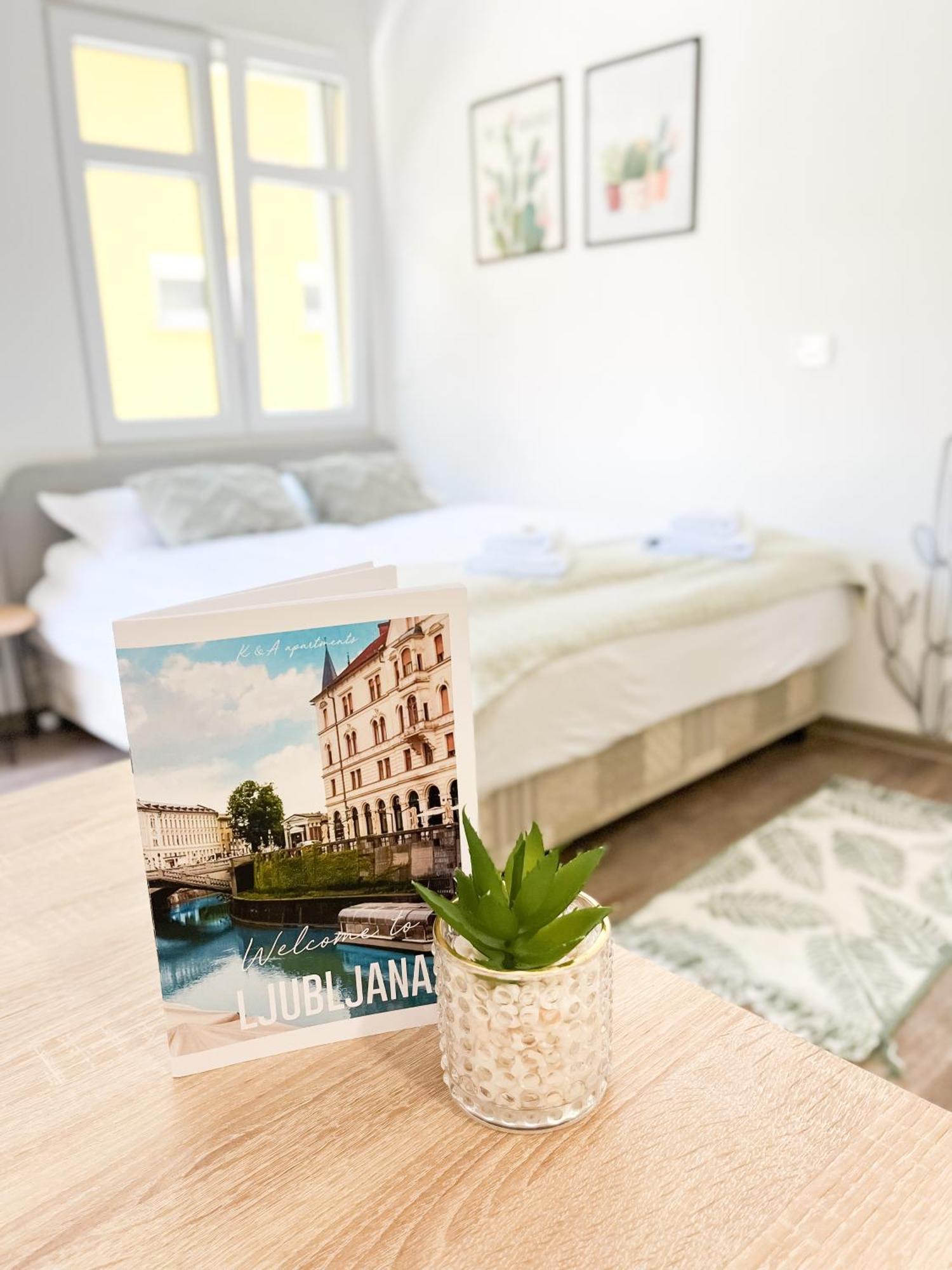 Anita'S Studio Apartments Любляна Екстер'єр фото