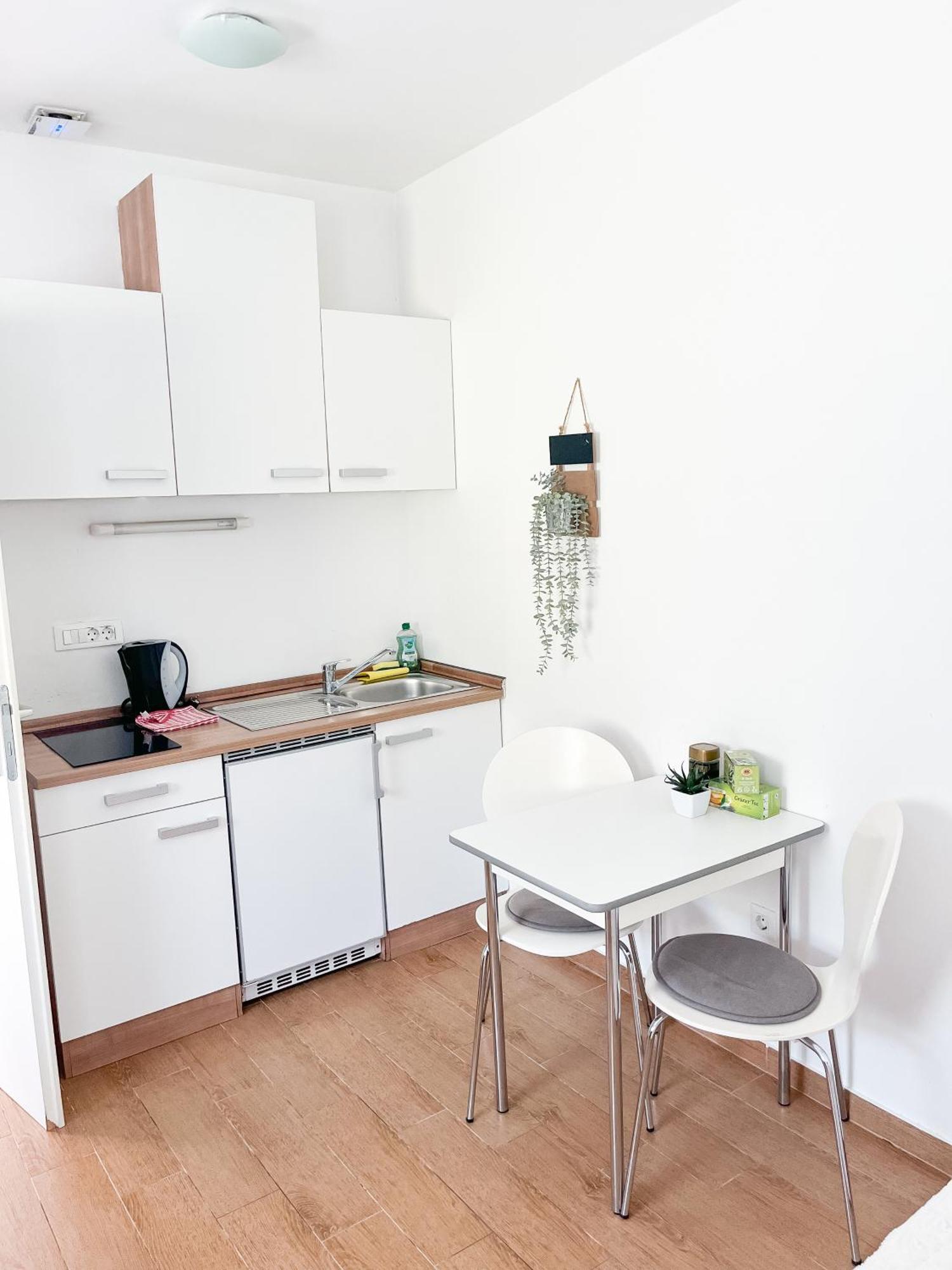 Anita'S Studio Apartments Любляна Екстер'єр фото